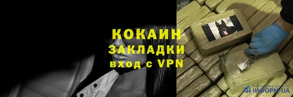 тгк Богородицк