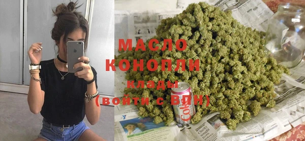 тгк Богородицк