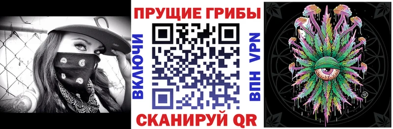 Галлюциногенные грибы прущие грибы  продажа наркотиков  Йошкар-Ола 